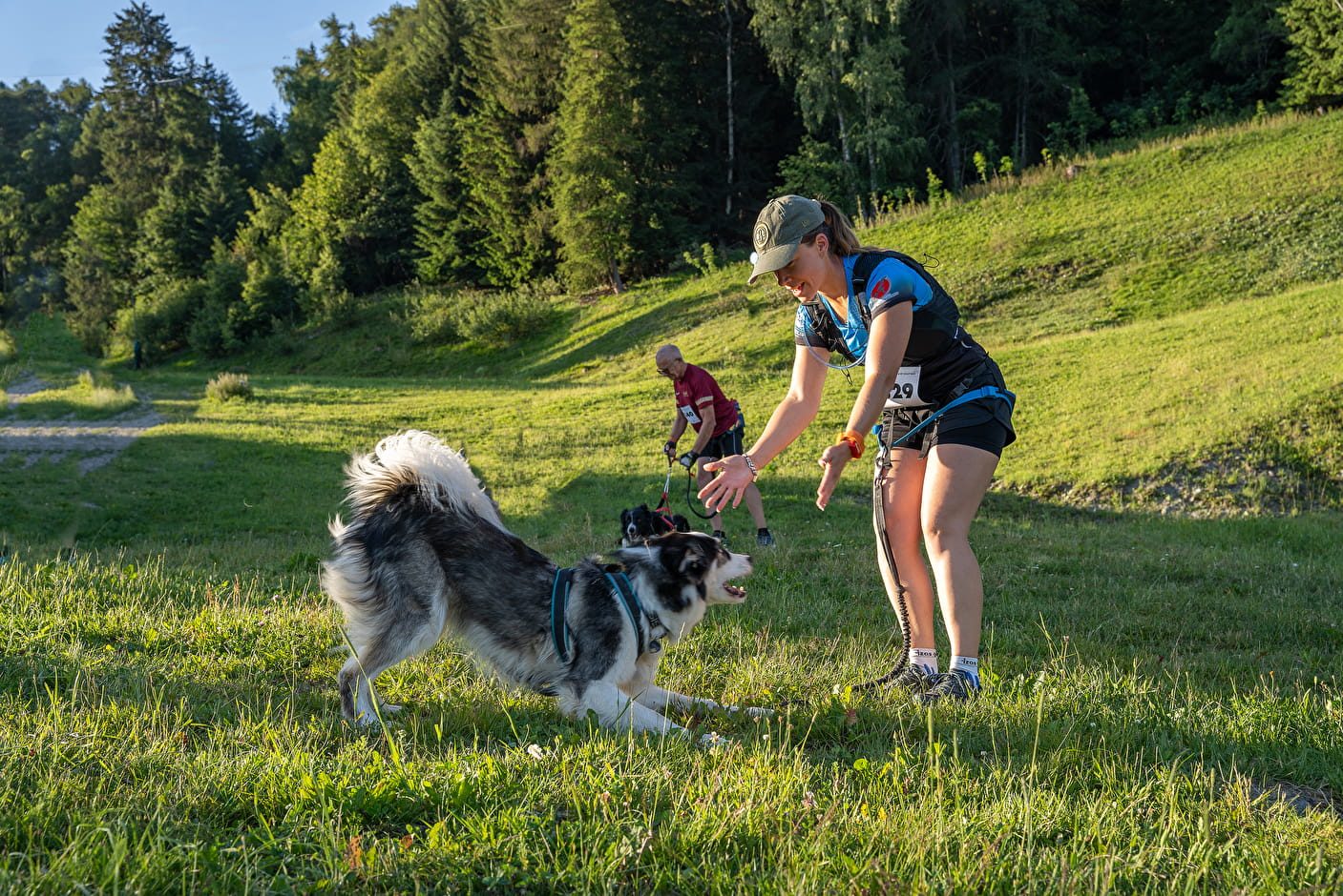 chien trail running 