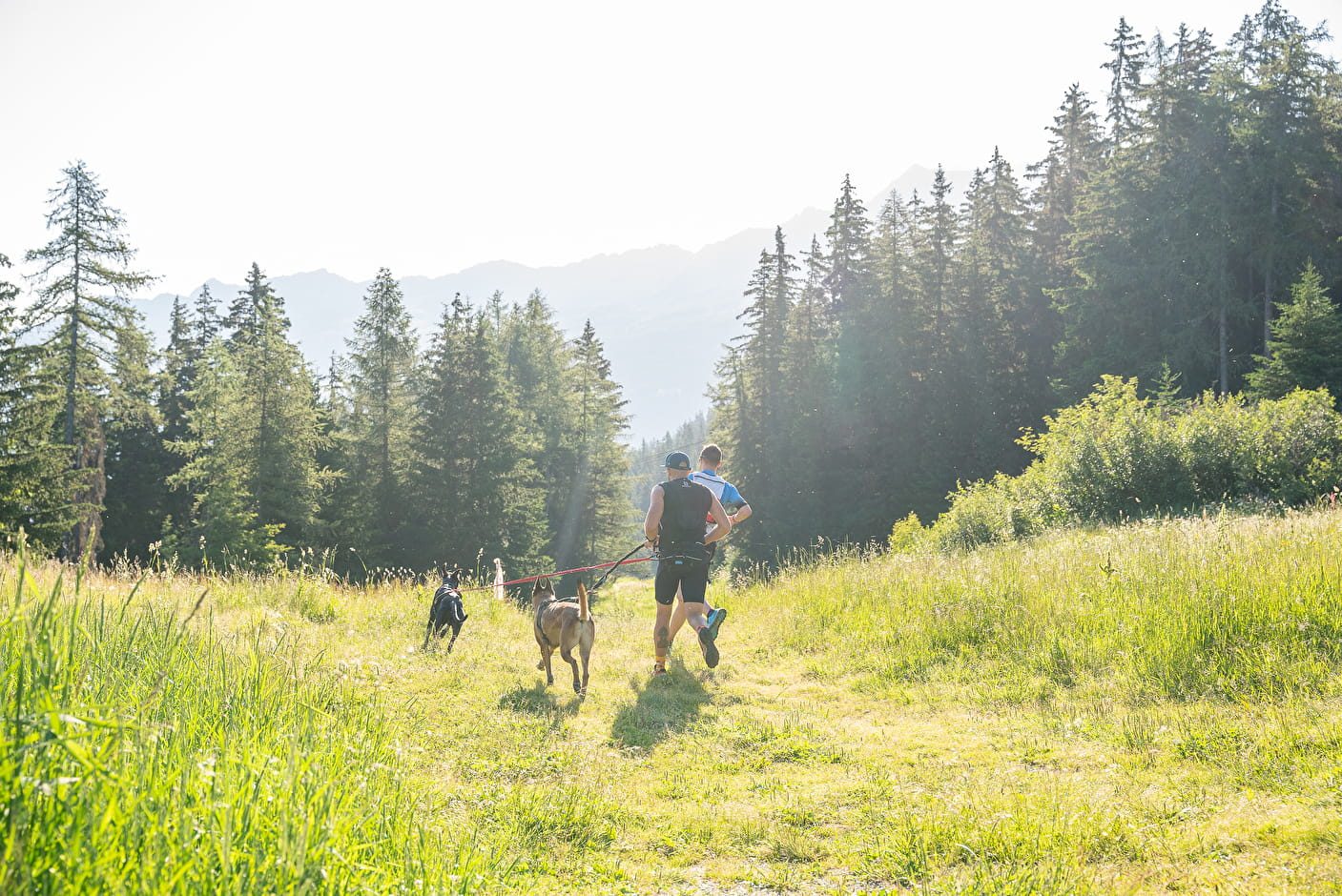 courrir avec son chien 