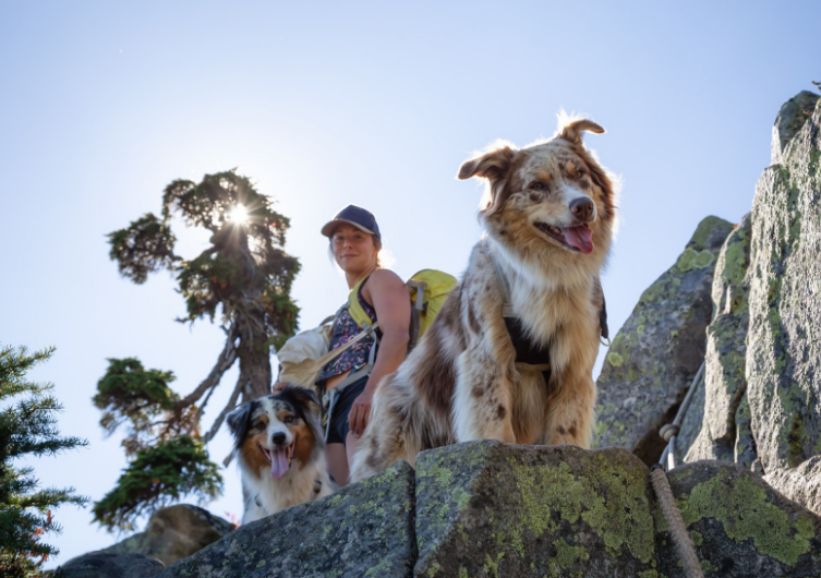 trail running avec un chien