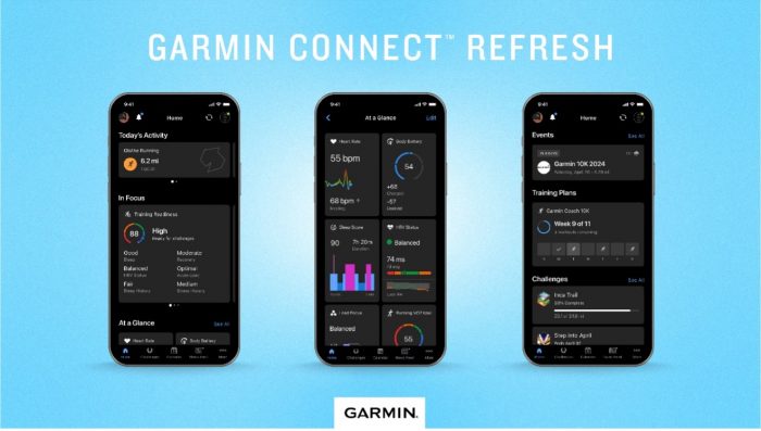 interface garmin connect 