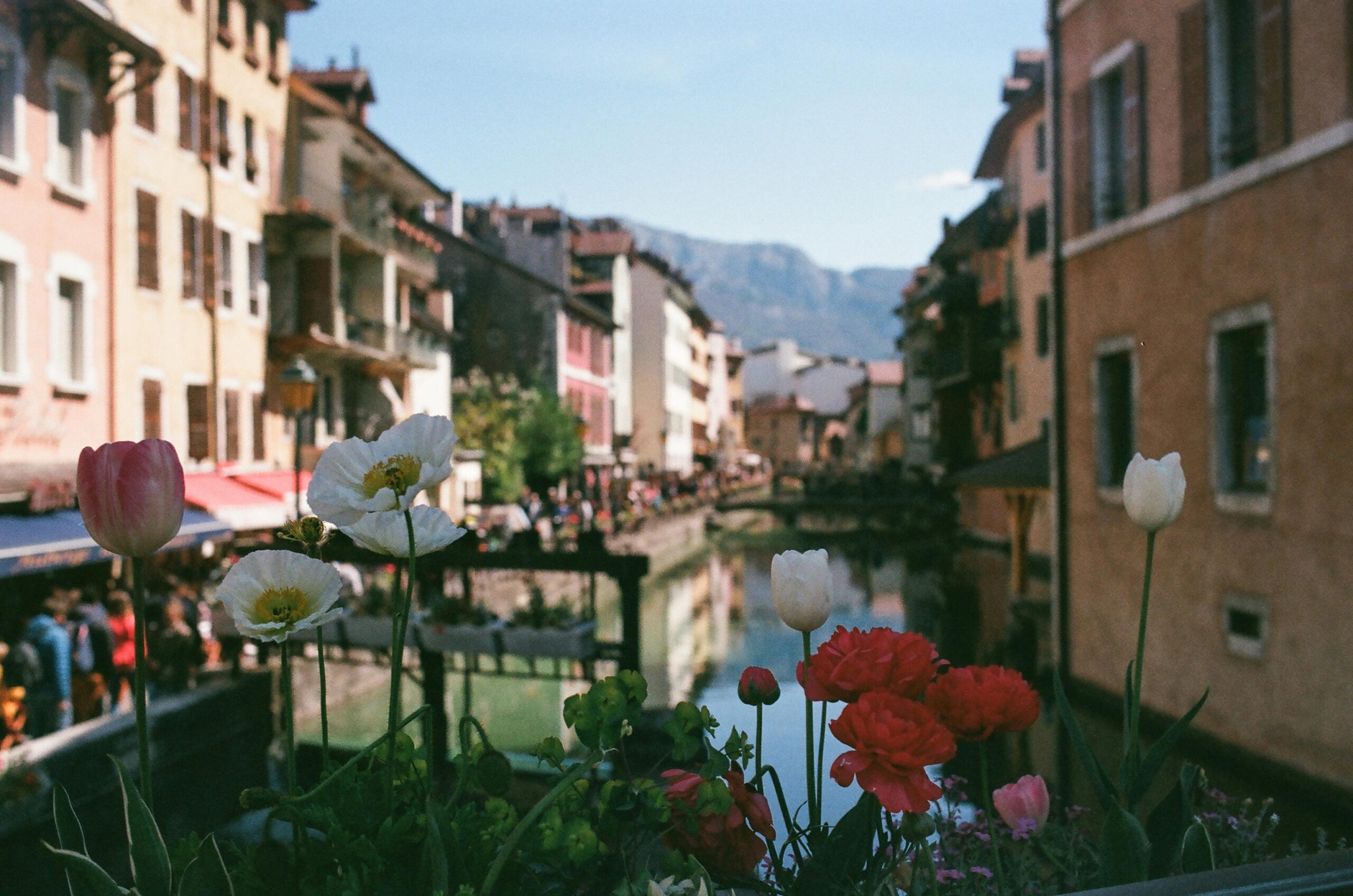 Lire la suite à propos de l’article Rejoindre un club trail à Annecy : transformer votre passion pour la course à pied et le trail.